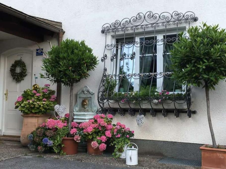 Dachwohnung Mit Seeblick Altmünster Extérieur photo